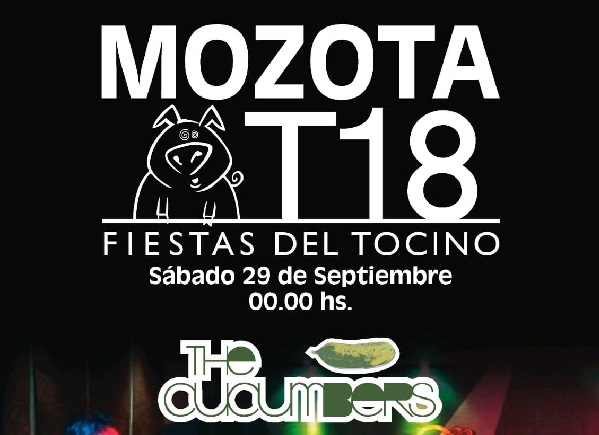 18ª «Fiestas del Tocino» en Mozota!